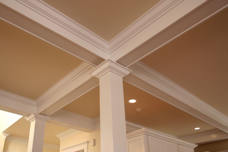 Elegant Ceiling Paint